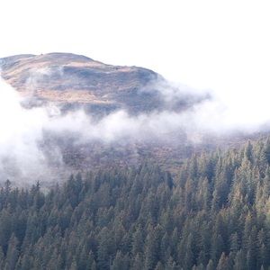 Meet your Posher, Benjamin